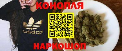 крисы Моздок