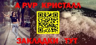 крисы Моздок