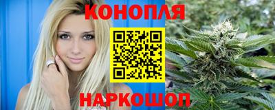 крисы Моздок