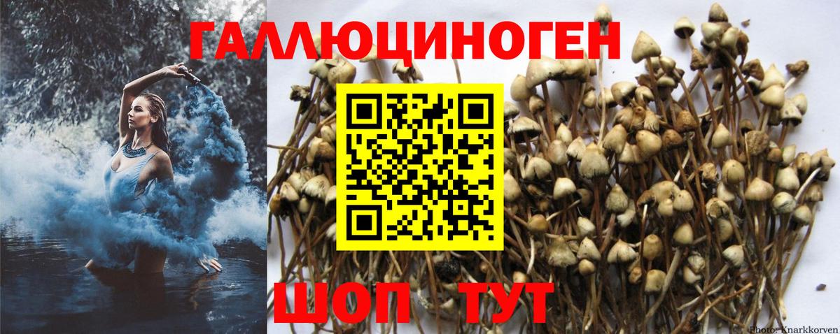 Галлюциногенные грибы ЛСД Кондопога