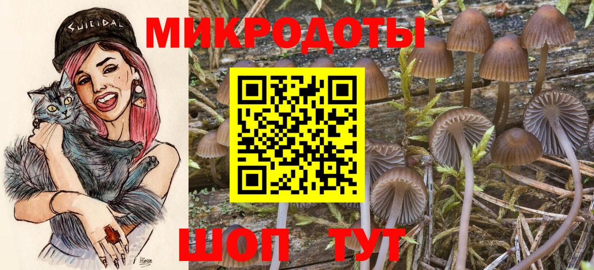Псилоцибиновые грибы мухоморы  Вход с VPN  Кондопога 